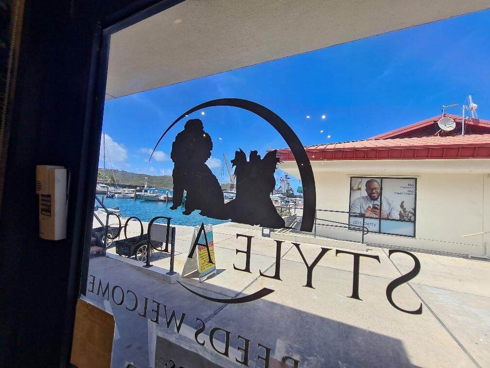 8168 Subbase, St. Thomas, VI 00802 (MLS 2320) Hanley Team