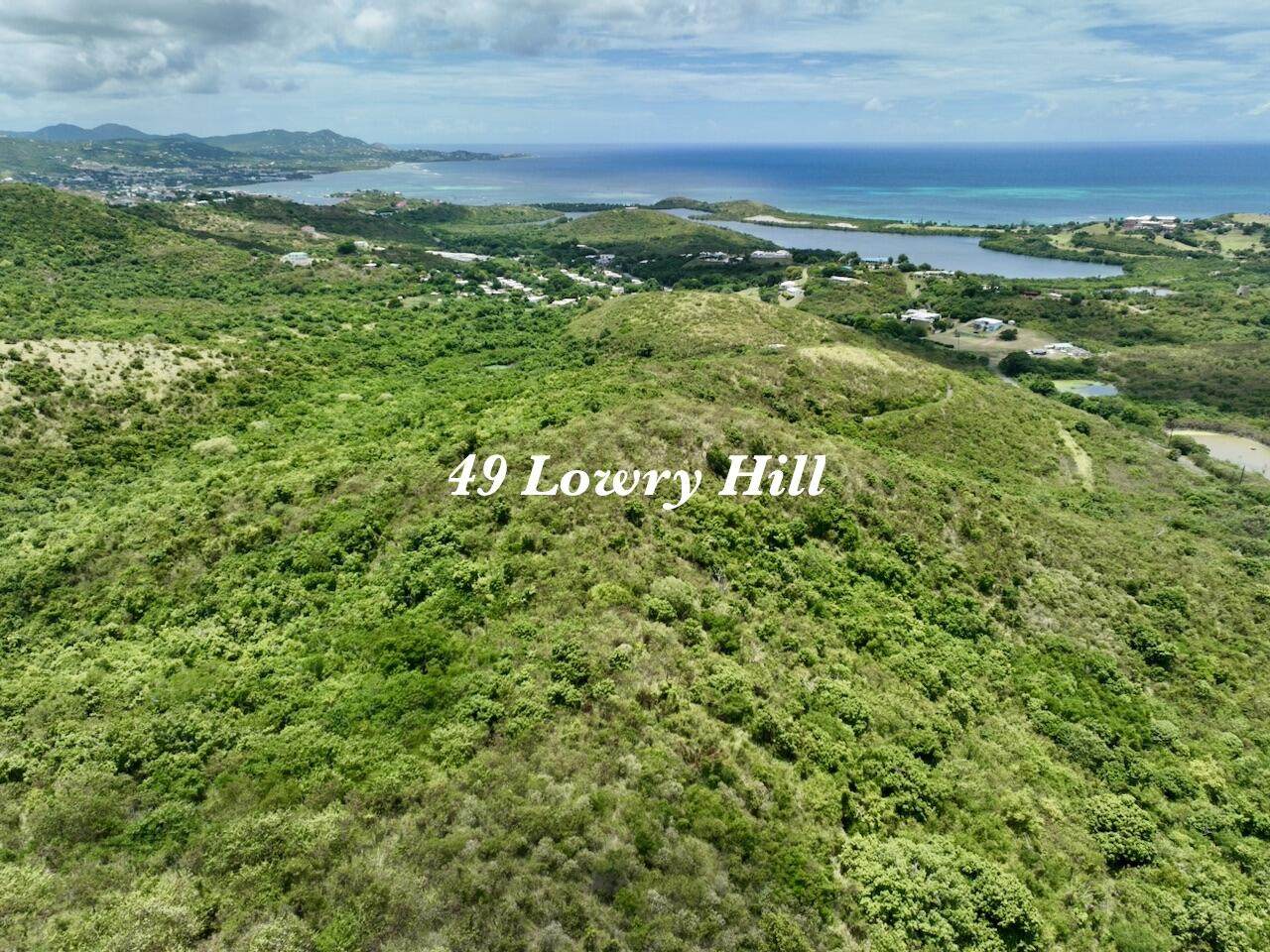 49 Lowry Hill Ea - Photo 1