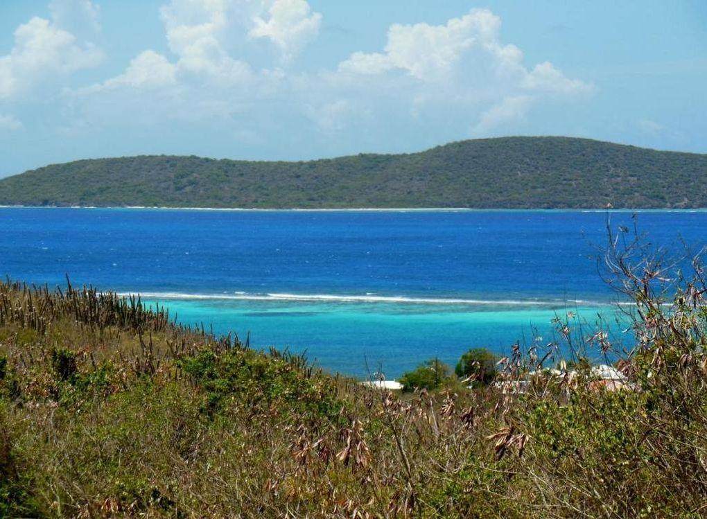 https://bt-photos.global.ssl.fastly.net/stthomas/1280_boomver_1_24-1414-2.jpg