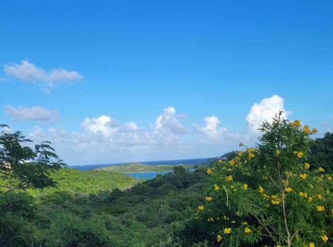 https://bt-photos.global.ssl.fastly.net/stthomas/orig_boomver_1_24-2032-2.jpg