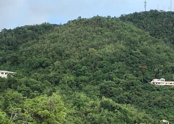 231-J Little La Grange We - Photo 1