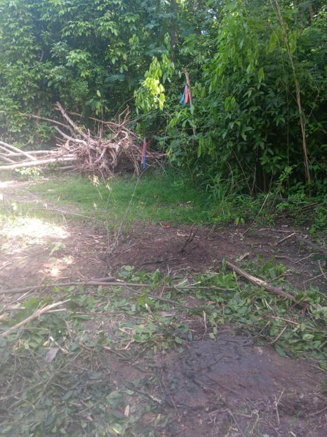 19 C La Grange We - Photo 1