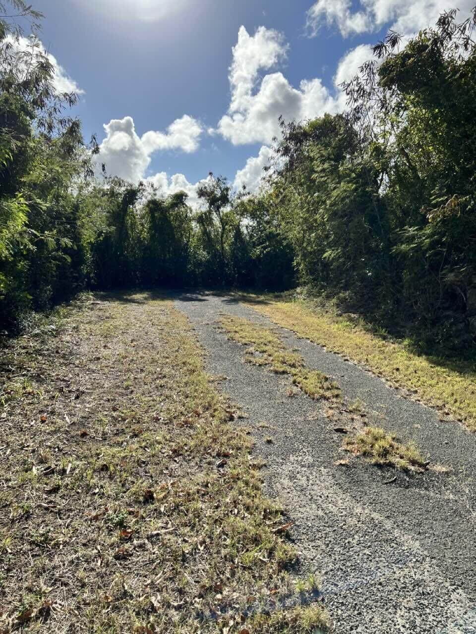 197 Mary's Fancy Qu - Photo 1