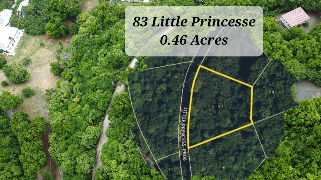 83 Little Princesse Co - Photo 1