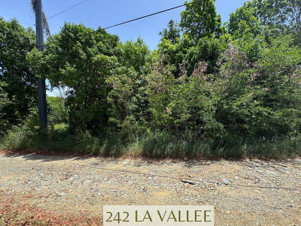 242 La Vallee Nb - Photo 1
