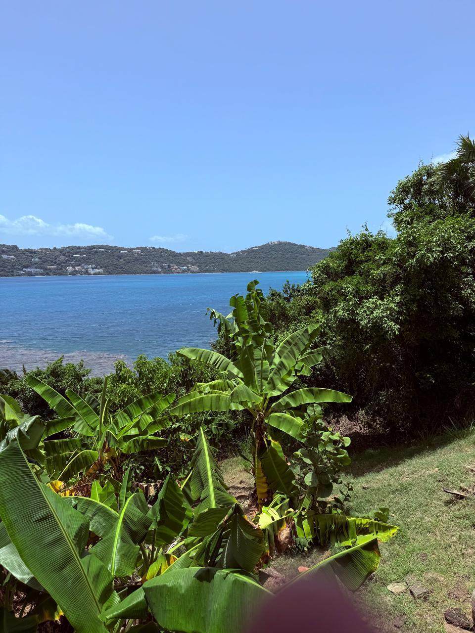 https://bt-photos.global.ssl.fastly.net/stthomas/orig_boomver_1_25-1263-2.jpg