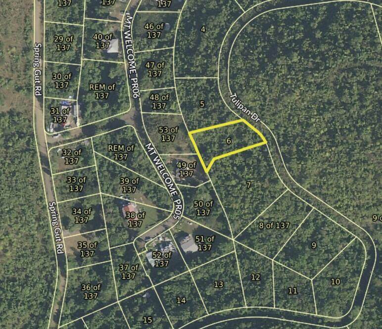 6/137 Mt. Welcome Ea - Photo 1