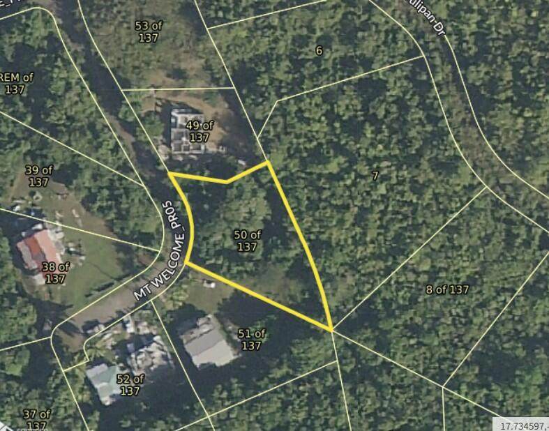 50/137 Mt. Welcome Ea - Photo 1