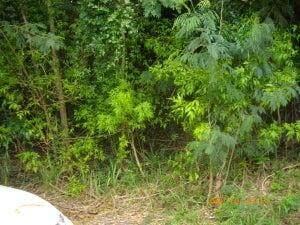 29 Mt. Victory Na - Photo 1