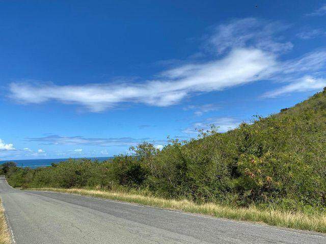 30 North Grapetree Eb - Photo 1