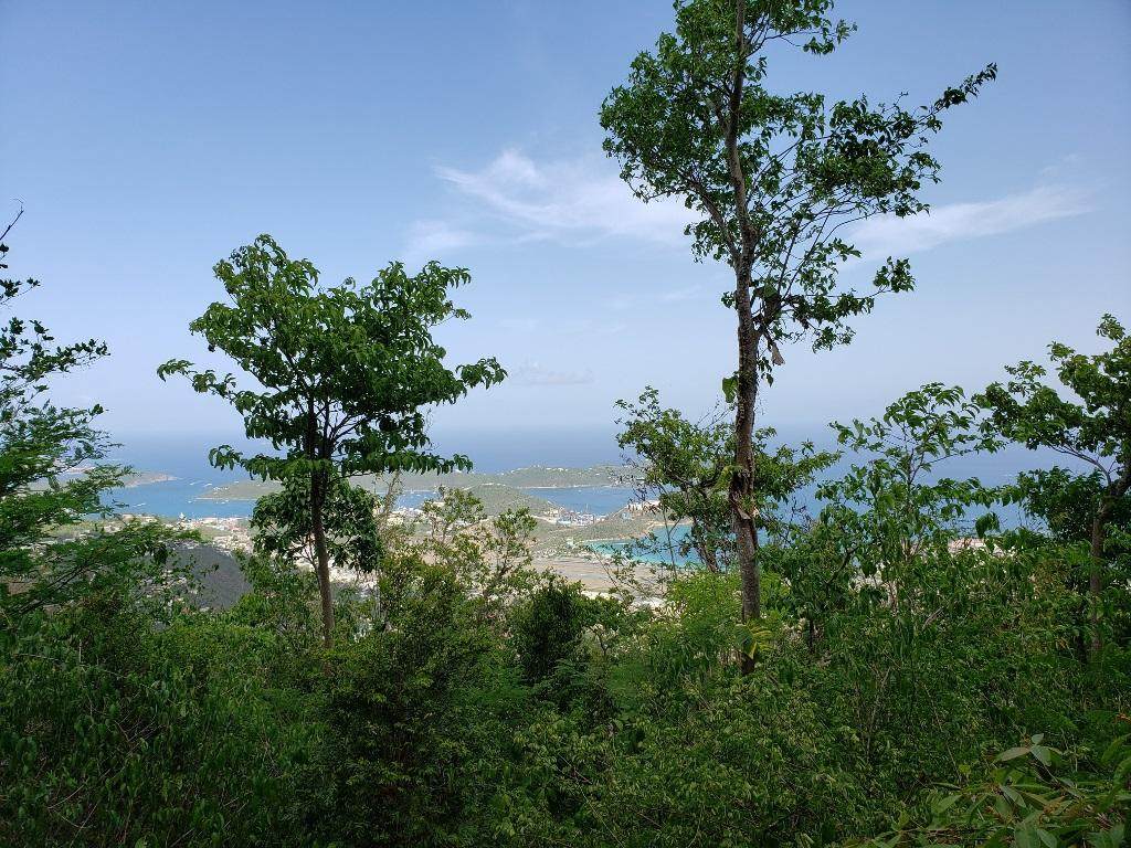 9D Crown & Hawk Ss - Photo 1