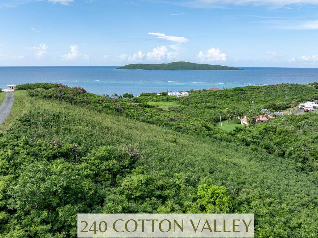 240 Cotton Valley Eb - Photo 1