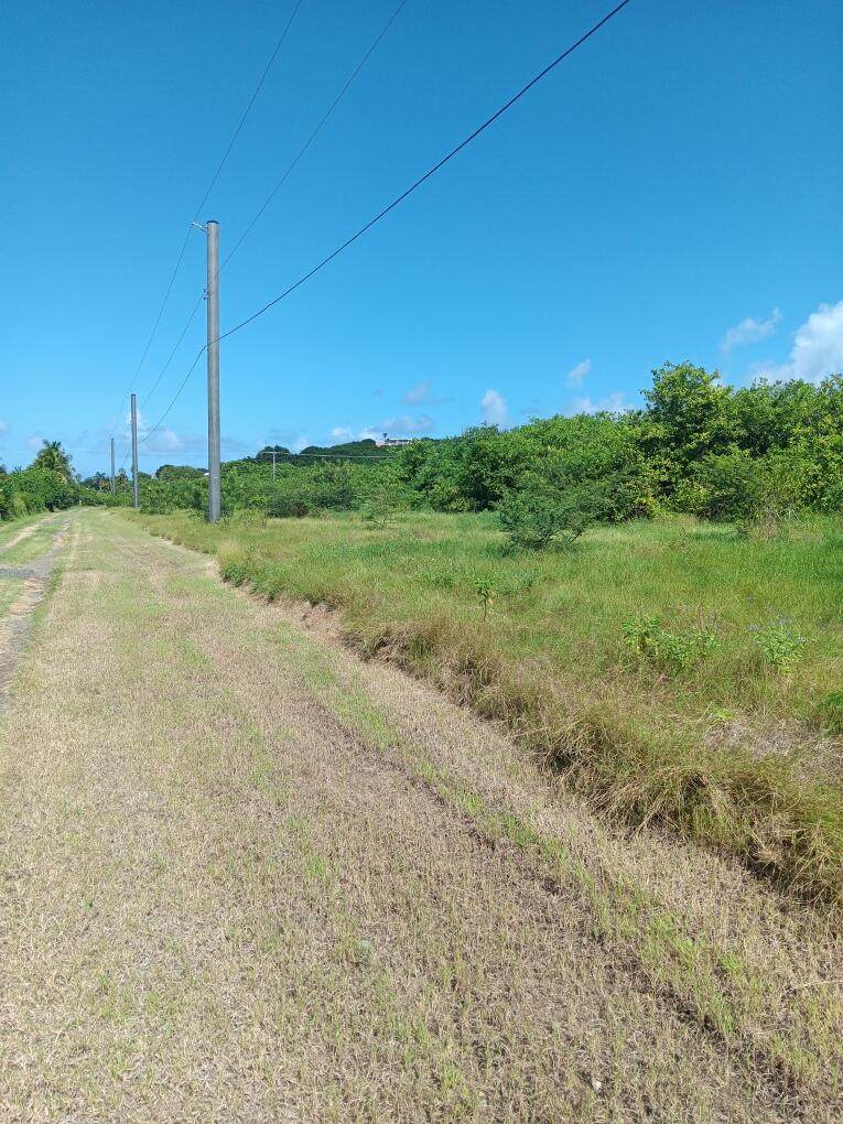 154-B Green Cay Ea - Photo 1
