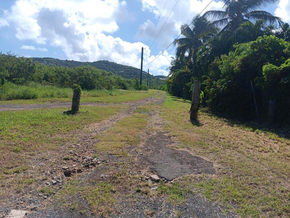 https://bt-photos.global.ssl.fastly.net/stthomas/orig_boomver_1_25-200-2.jpg