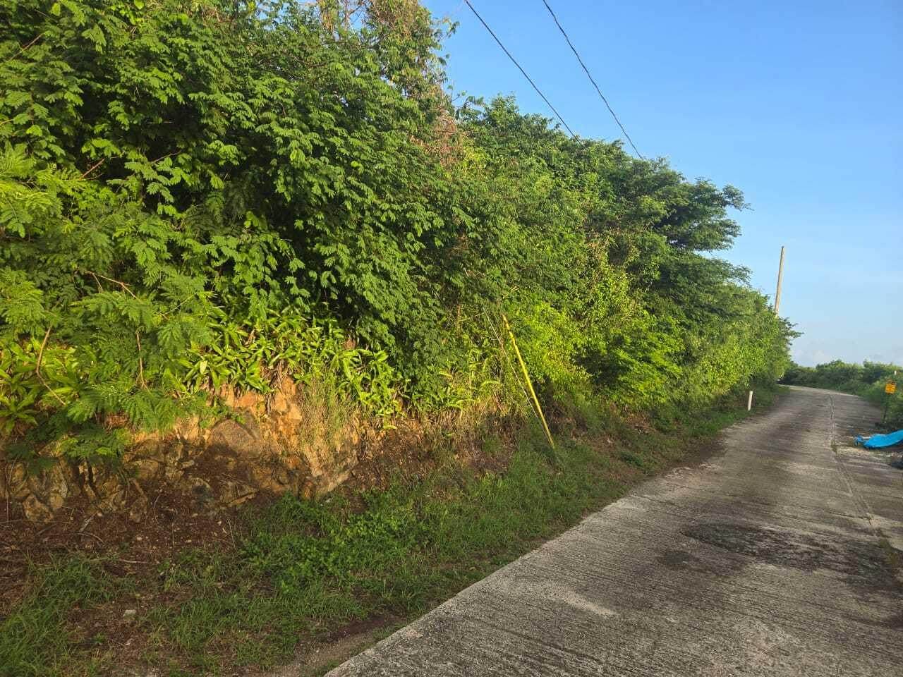 61-26 Bolongo Fb - Photo 1