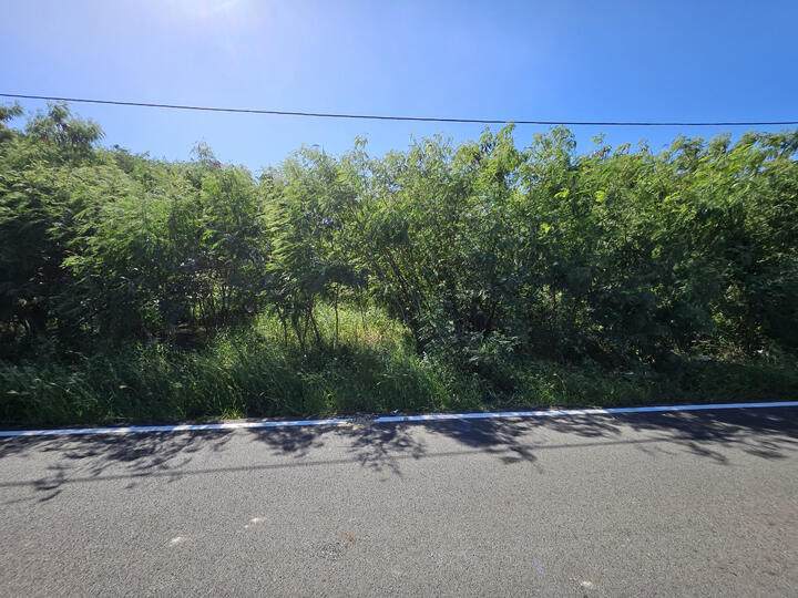 41-M Whim Whim (Two Will) We - Photo 1