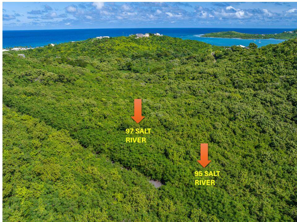 95 Salt River Nb - Photo 1