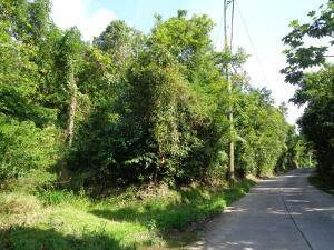 18-C-3-1 Carolina Corl - Photo 1