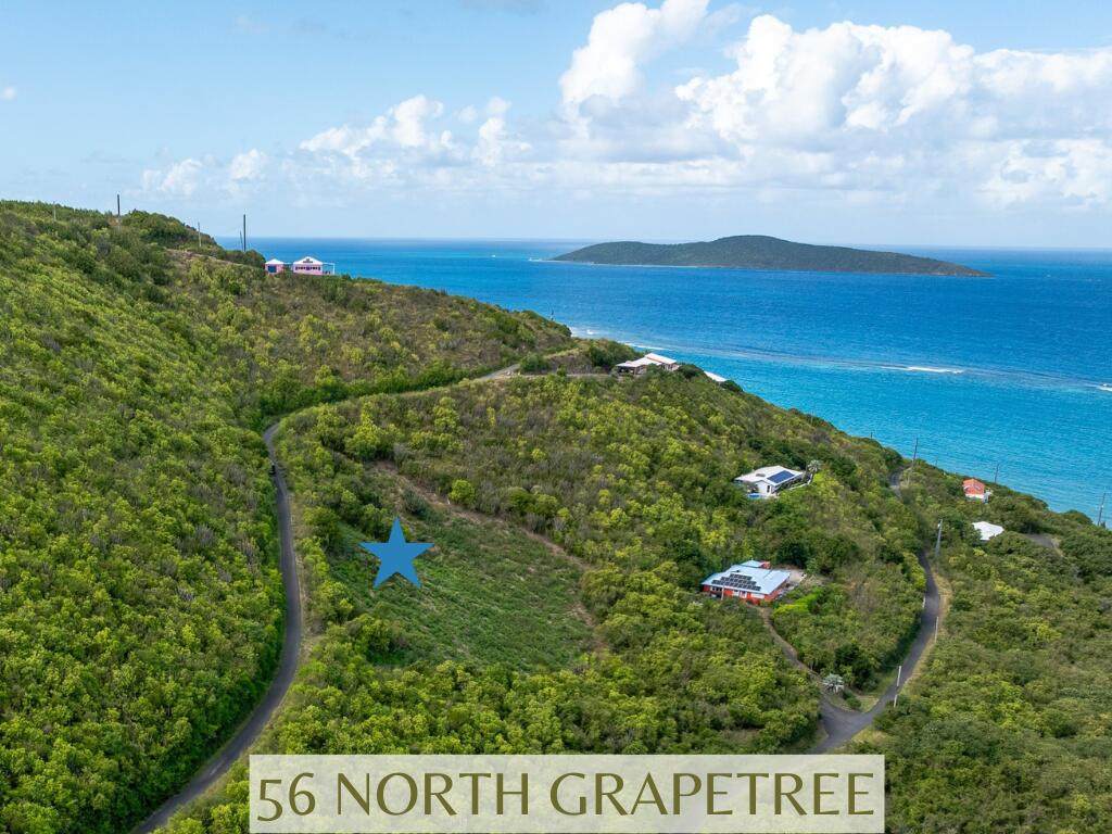 56 North Grapetree Eb - Photo 1