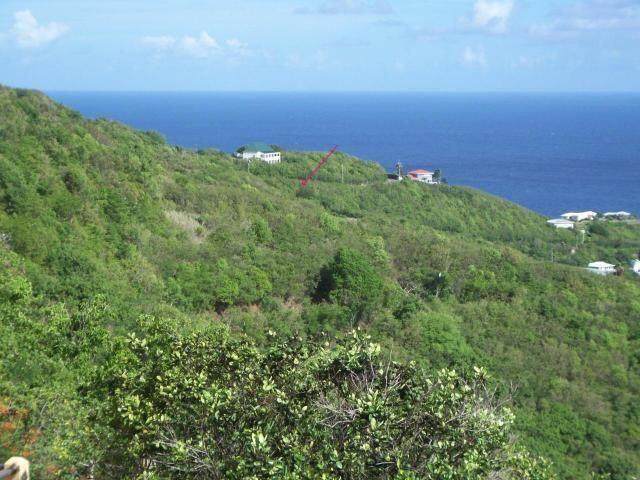 https://bt-photos.global.ssl.fastly.net/stthomas/orig_boomver_1_25-632-2.jpg