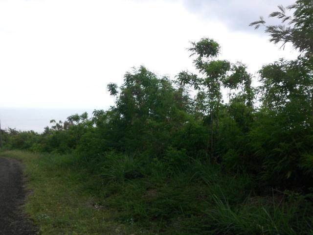 https://bt-photos.global.ssl.fastly.net/stthomas/orig_boomver_1_25-632-2.jpg