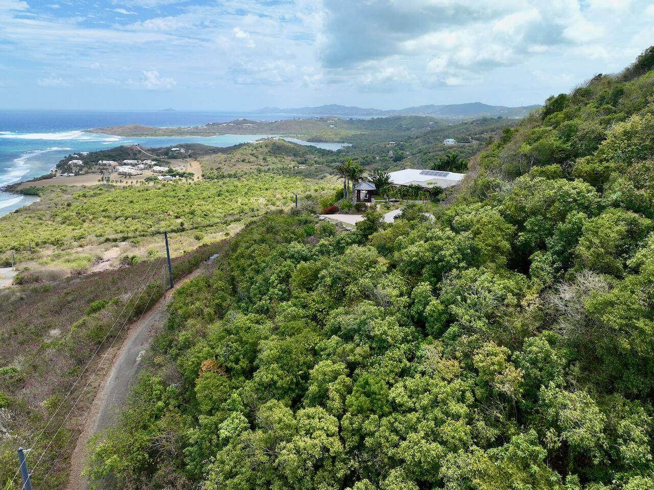 https://bt-photos.global.ssl.fastly.net/stthomas/orig_boomver_1_25-733-2.jpg
