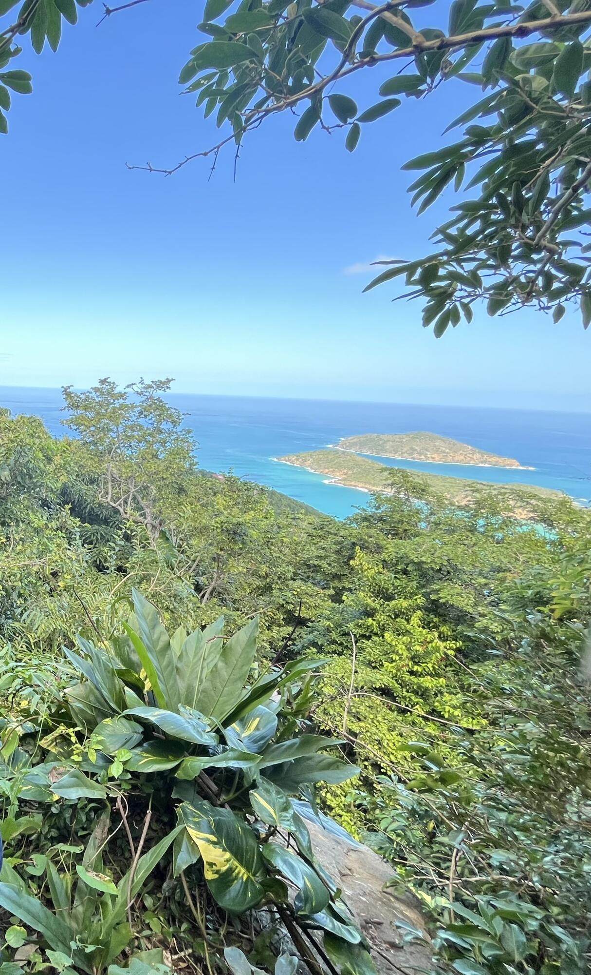 https://bt-photos.global.ssl.fastly.net/stthomas/1280_boomver_1_25-963-2.jpg