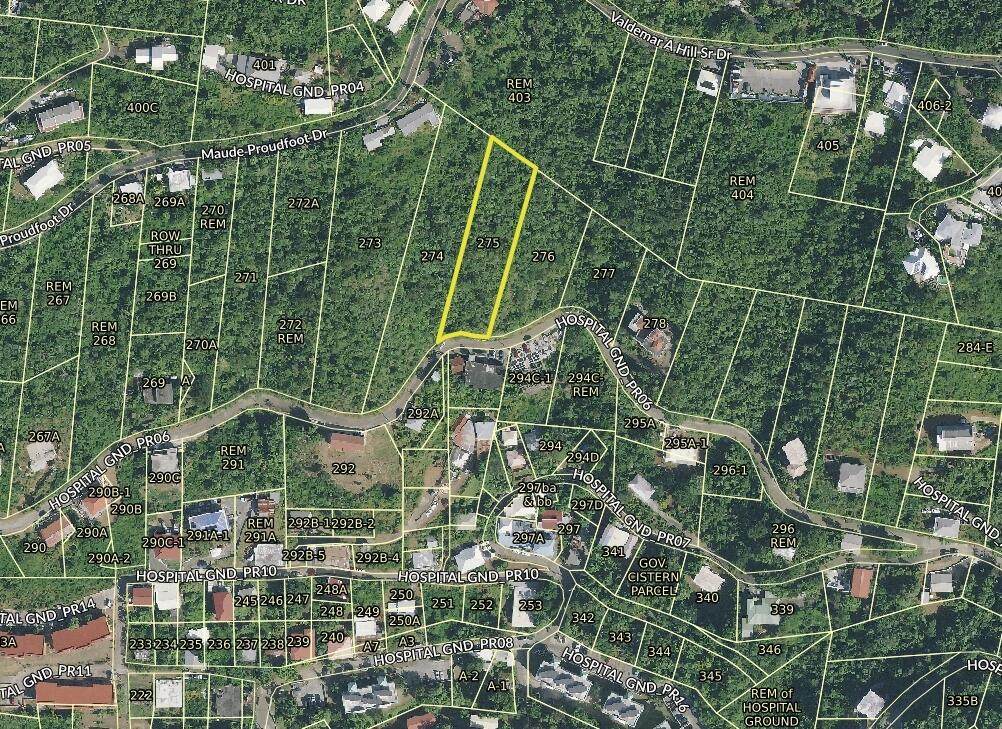 275 Hospital Ground Ki - Photo 1