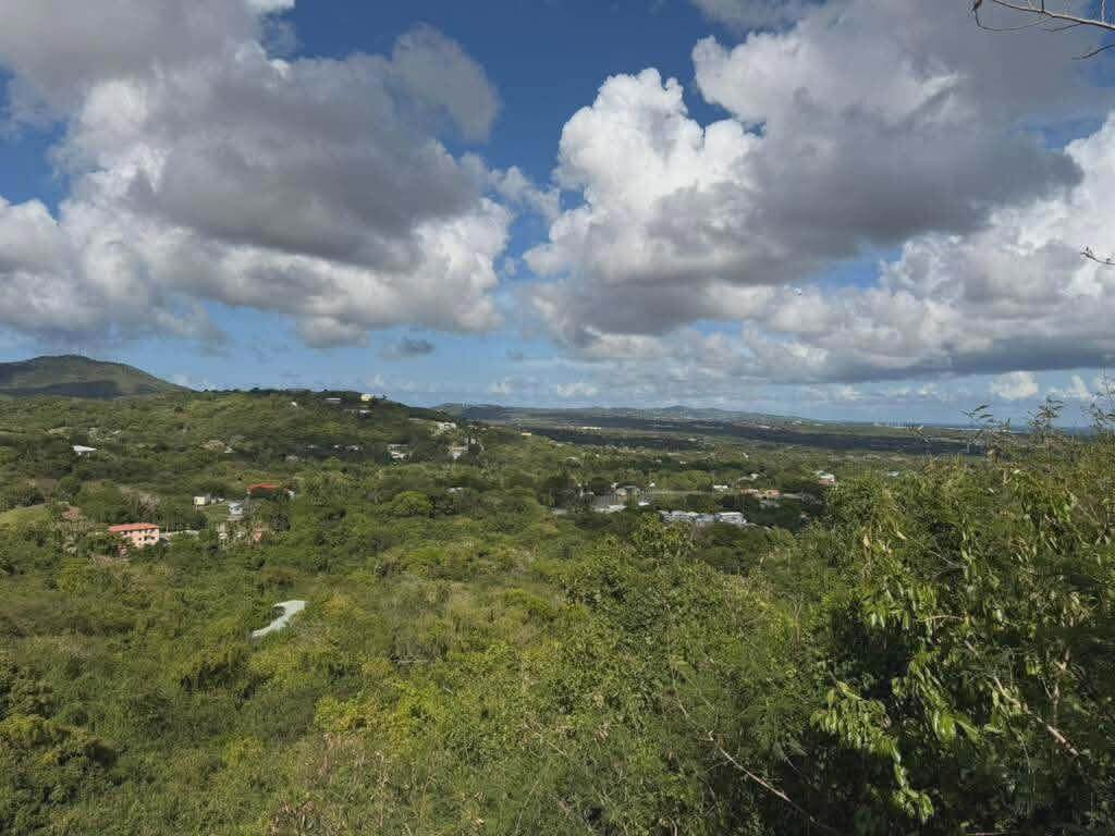 42 St. George Pr - Photo 1