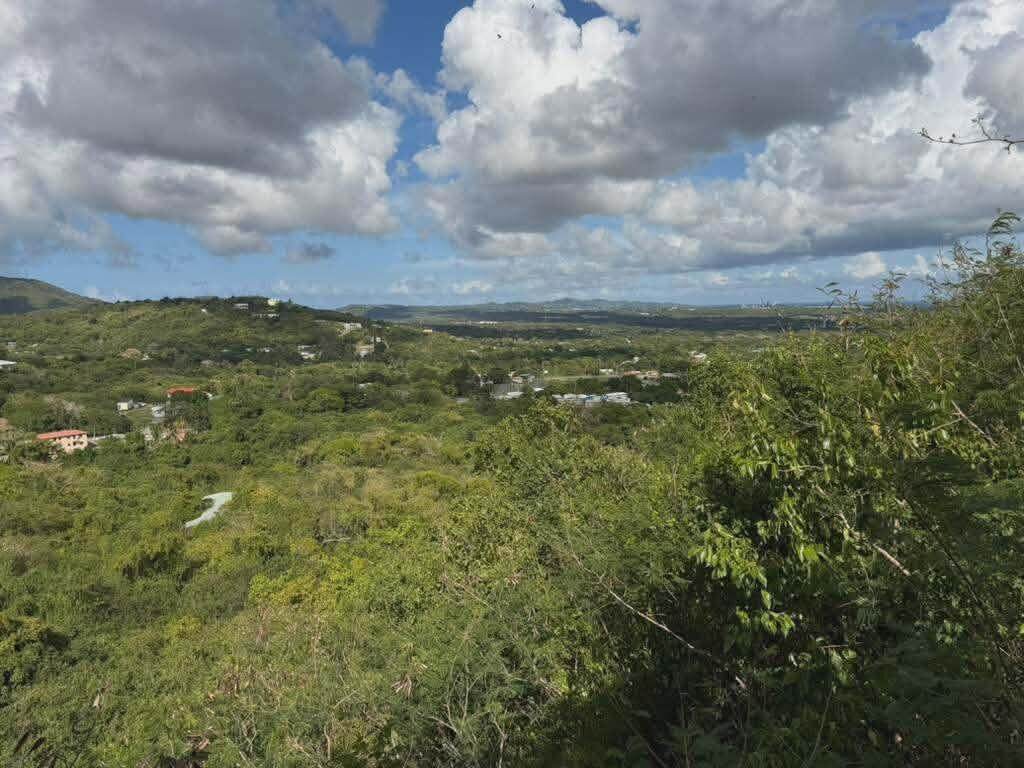 https://bt-photos.global.ssl.fastly.net/stthomas/orig_boomver_1_26-1093-2.jpg