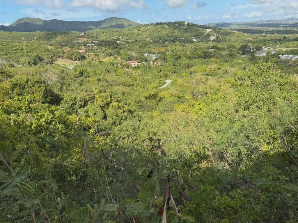 https://bt-photos.global.ssl.fastly.net/stthomas/orig_boomver_1_26-1093-2.jpg