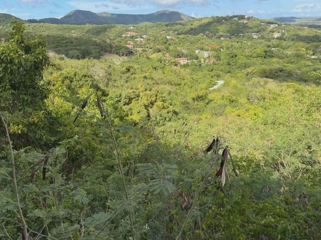 https://bt-photos.global.ssl.fastly.net/stthomas/orig_boomver_1_26-1093-2.jpg