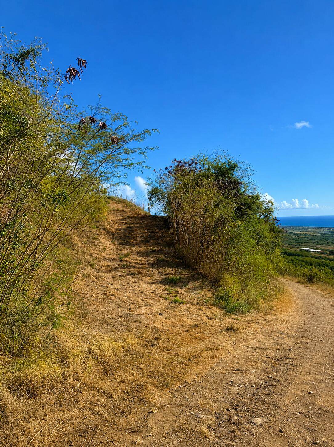 https://bt-photos.global.ssl.fastly.net/stthomas/1280_boomver_1_26-1254-2.jpg