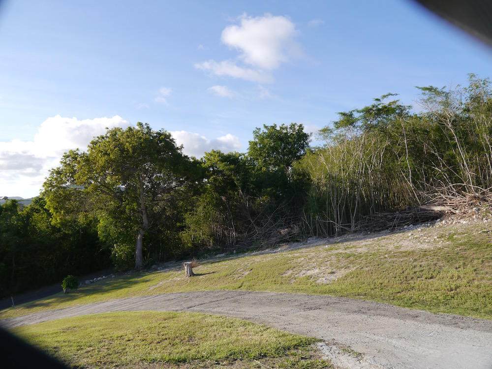 https://bt-photos.global.ssl.fastly.net/stthomas/orig_boomver_1_26-1305-2.jpg
