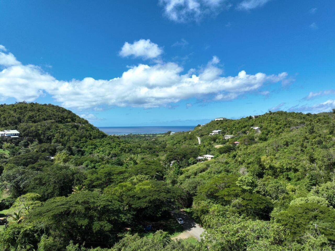 https://bt-photos.global.ssl.fastly.net/stthomas/orig_boomver_1_26-1516-2.jpg