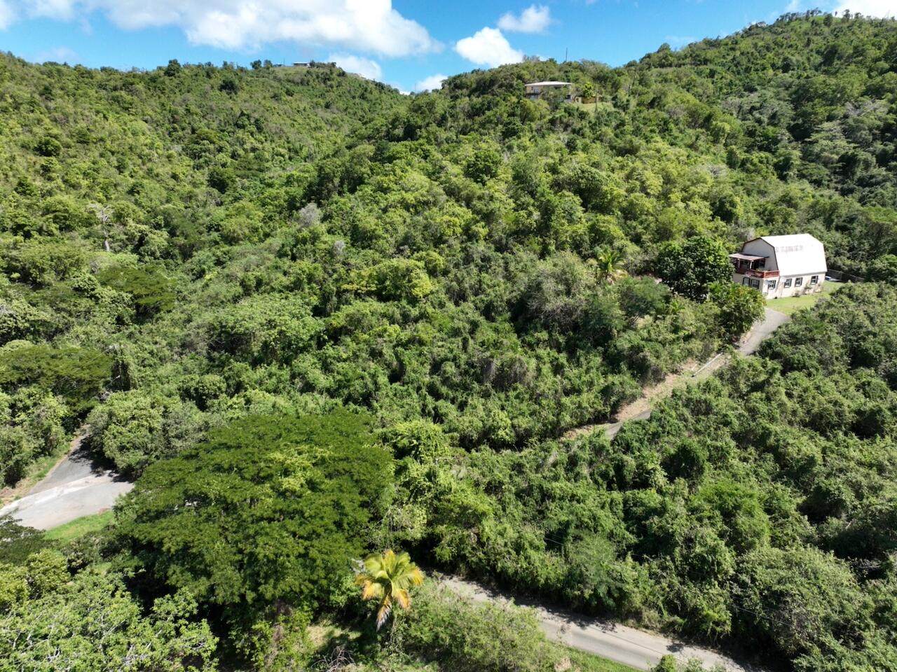 https://bt-photos.global.ssl.fastly.net/stthomas/orig_boomver_1_26-1516-2.jpg