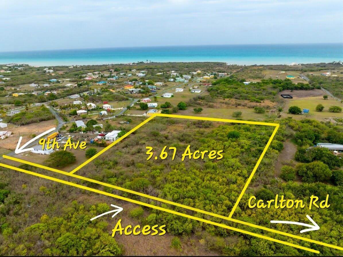 56 Carlton We - Photo 1