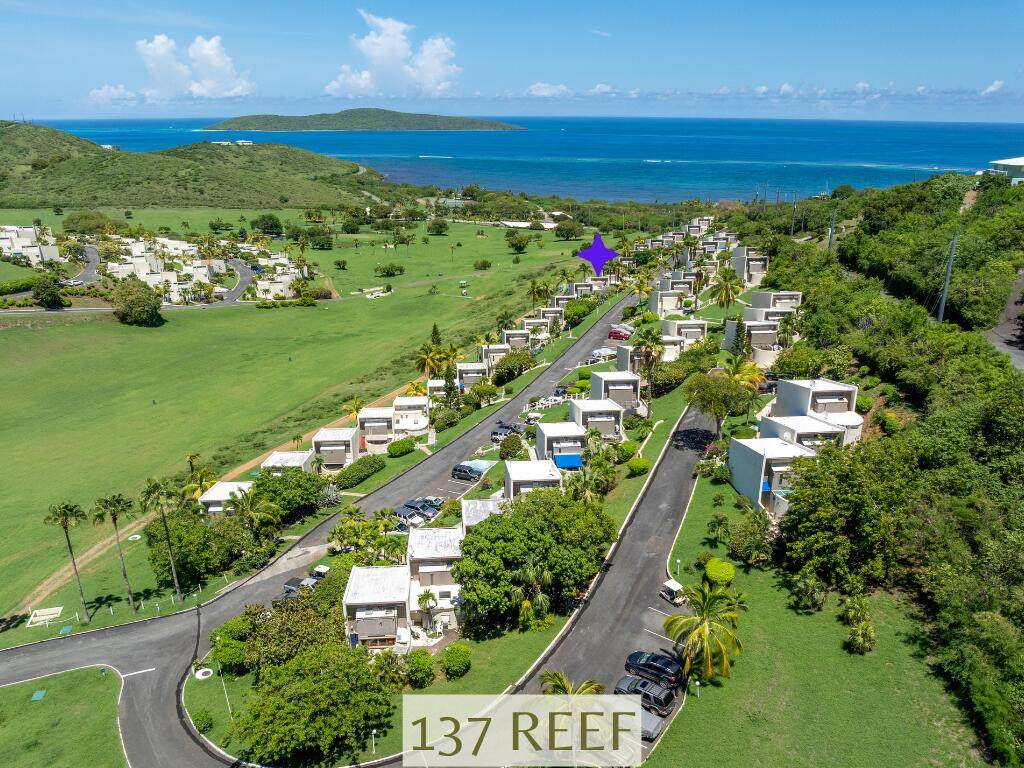 137 Teagues Bay Eb - Photo 1