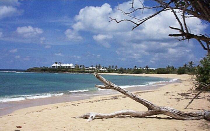 https://bt-photos.global.ssl.fastly.net/stthomas/orig_boomver_1_26-1855-2.jpg