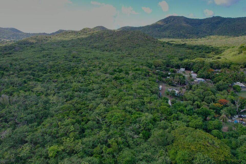 299 V.I. Corp Lands Pr - Photo 1