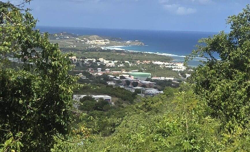 https://bt-photos.global.ssl.fastly.net/stthomas/orig_boomver_1_26-788-2.jpg