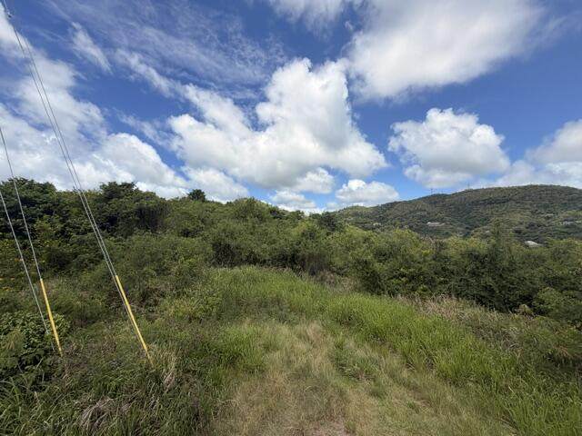 96 B La Grange We - Photo 1