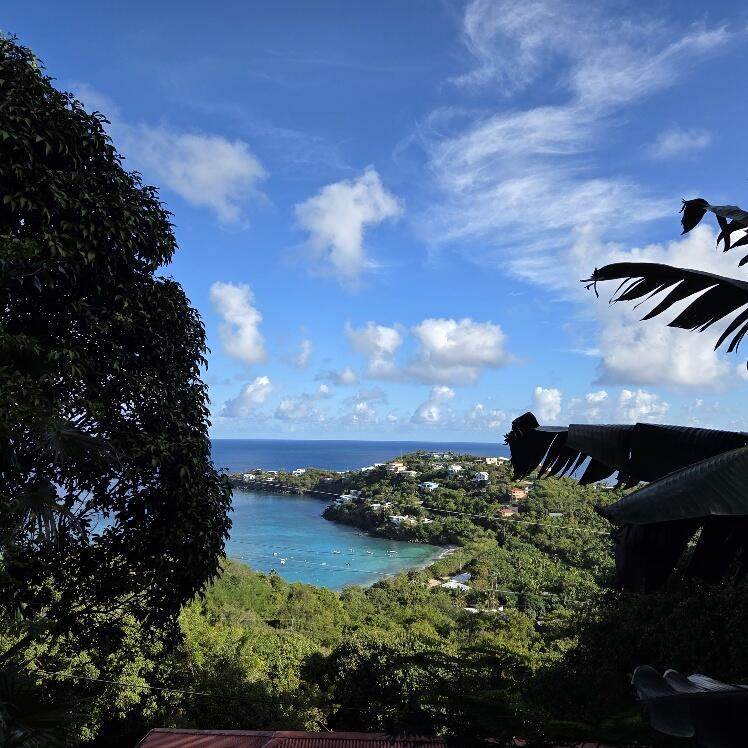 https://bt-photos.global.ssl.fastly.net/stthomas/orig_boomver_1_26-987-2.jpg