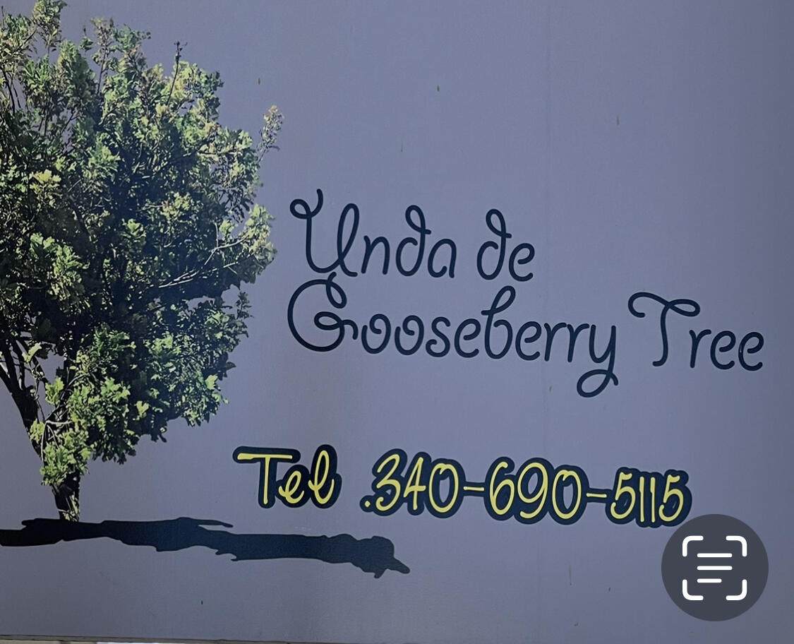 Gooseberry Christiansted Ch - Photo 1