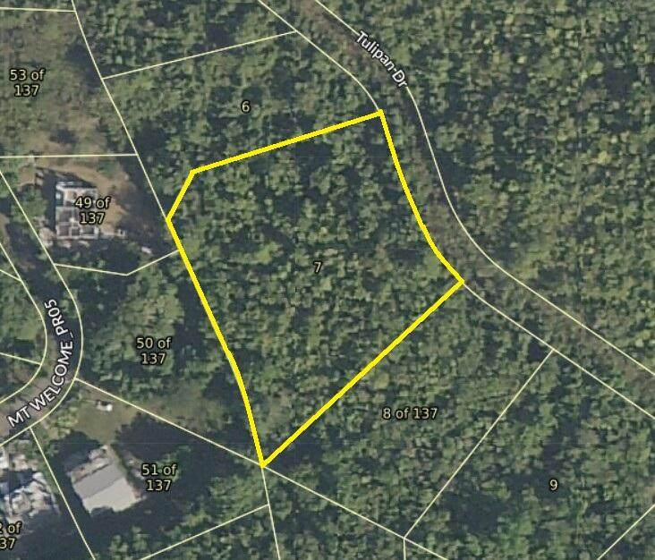 7/137 Mt. Welcome Ea - Photo 1