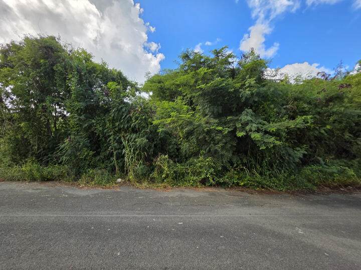 304-D Barren Spot Qu - Photo 1