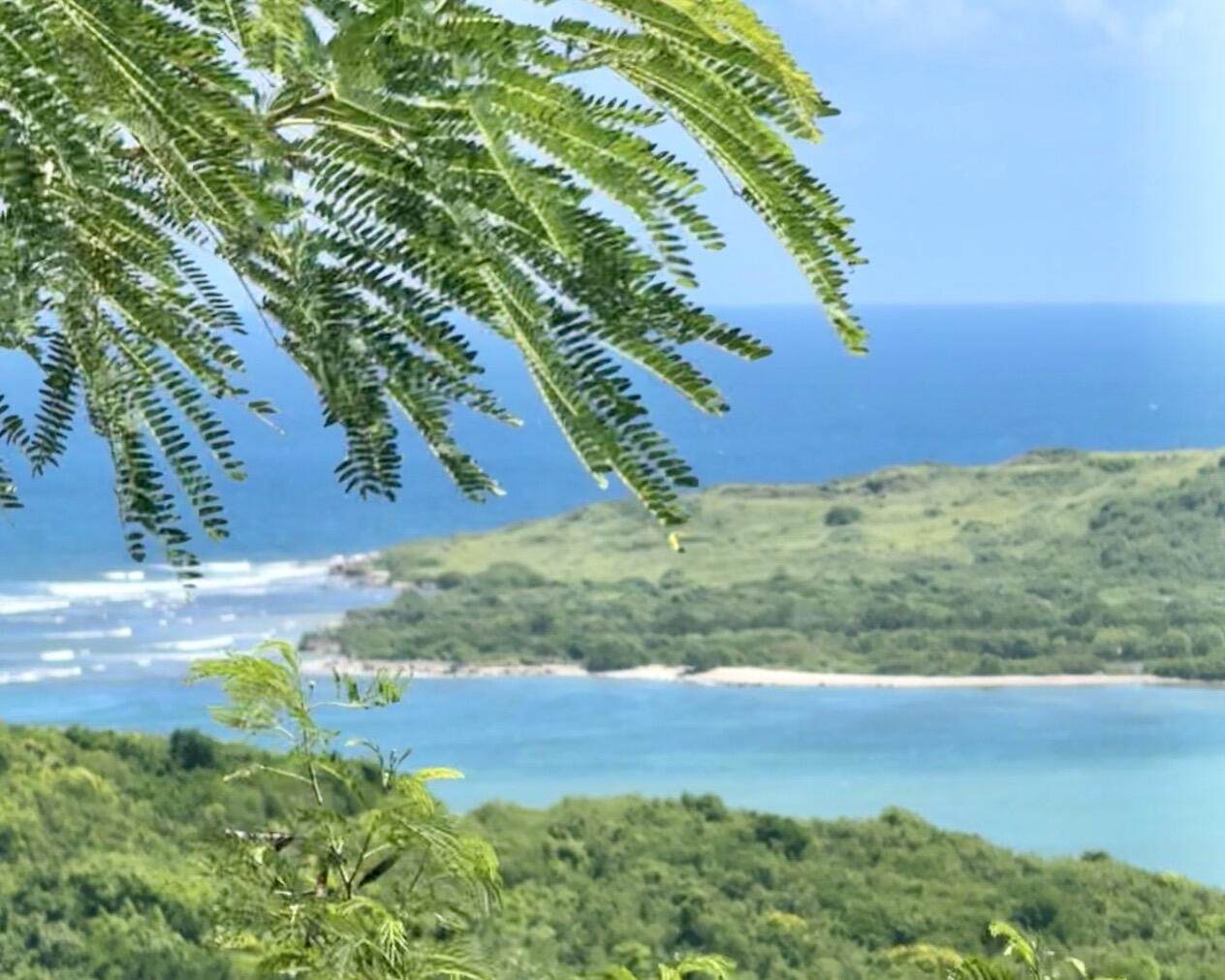 74 Salt River Nb - Photo 1