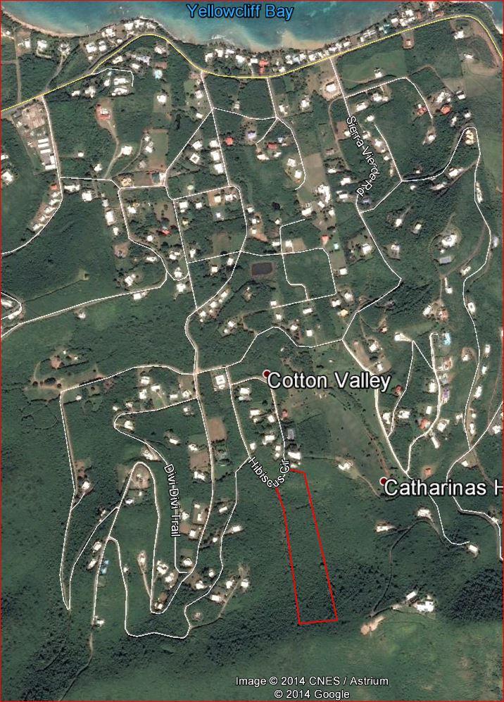31 Yellow Cliff Eb - Photo 1