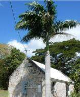 147-A Carlton We - Photo 87