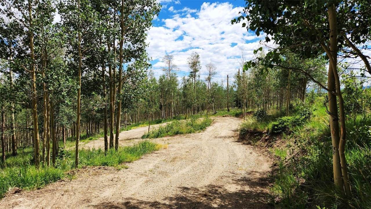 816 Little Baldy Circle - Photo 1